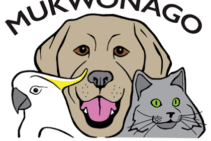 mukwonago animal hospital mukwonago wisconsin