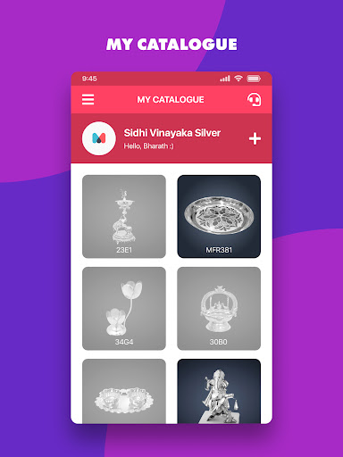 MSRsilver Screen 2