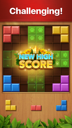 Game screenshot Vita Block for Seniors apk download