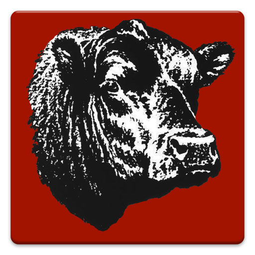 Angus Mobile - Apps on Google Play