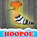 The Hoopoe Rescue From Cage