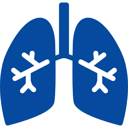 KINESIOLOGIA APOYO ACADEMICO logo