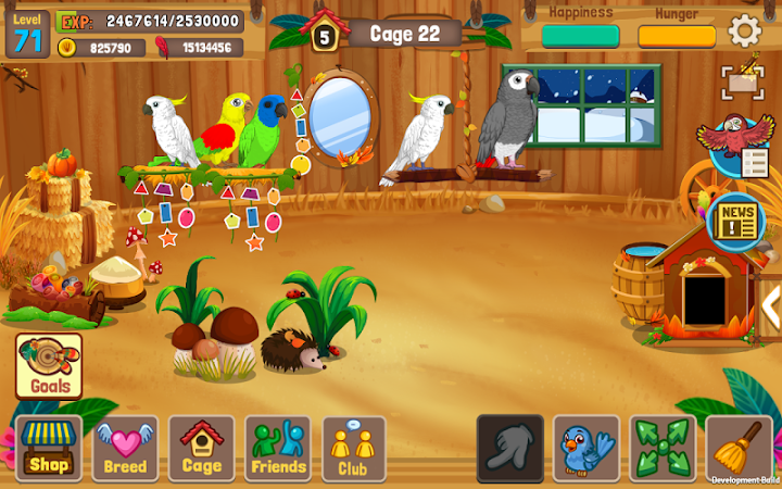 Hack Bird Land: Pet Shop Bird Games