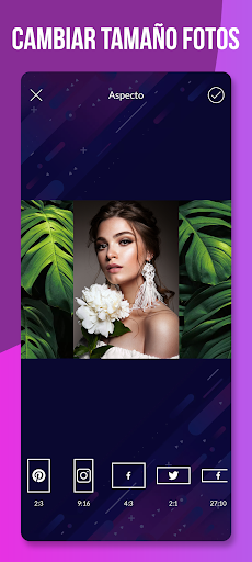 Vista previa de la aplicación