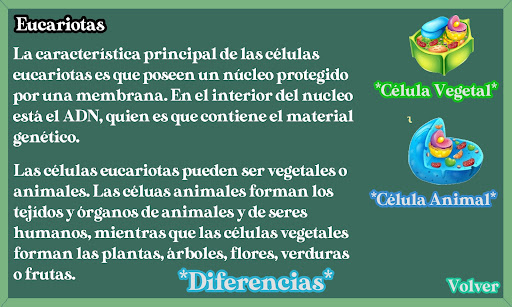 Niveles de la Materia