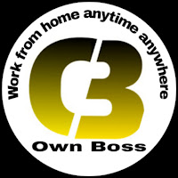 Own Boss Work from home Data