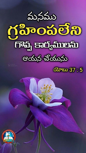 Bible Quotes Telugu