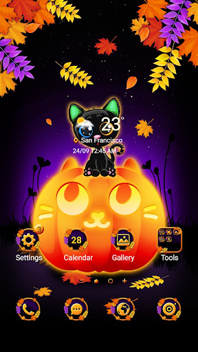 Android application Cute Big Pumpkin - Wallpaper screenshort