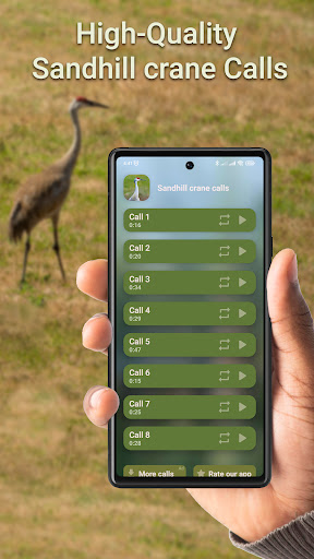 Android application Crane Hunting Calls screenshort