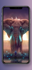 Cute Elephant Wallpaper HD