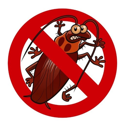 Как избавиться от тараканов