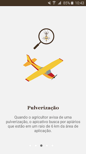 Colmeia Viva Screen 3