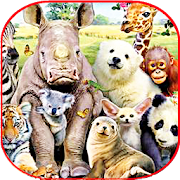 Animals ringtones 1.01 Icon
