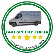 Taxi Speedy Italia
