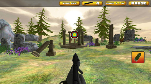 Killer Shooting Crime