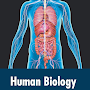 Human Biology Quiz