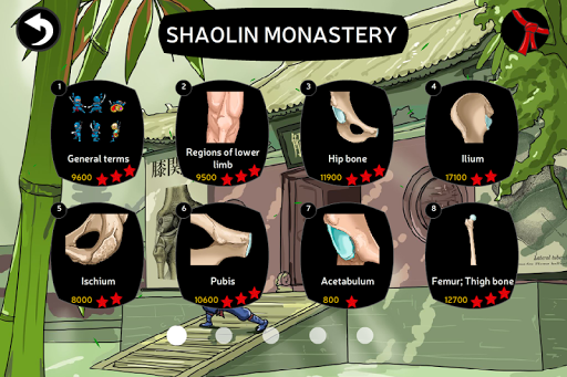 Anatomy Ninja Lower Limb