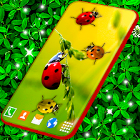 Cute Ladybug Live Wallpaper