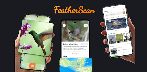 Bird Identifier – FeatherScan
