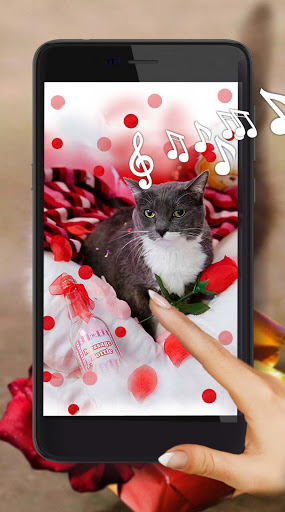 Lovely Kitty Live Wallpaper