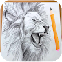 How to Draw Lion