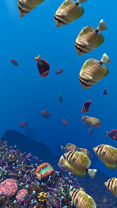 Ocean Aquariumのおすすめ画像5