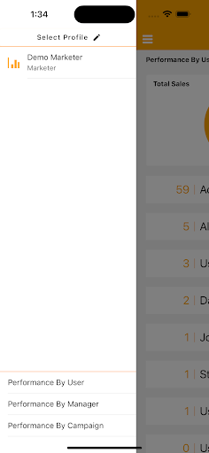 Inline CRM Reporting Screen 2