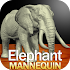 Elephant Mannequin1.3