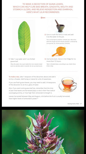 Harbal Medicine  Healing Herbs of Paradise