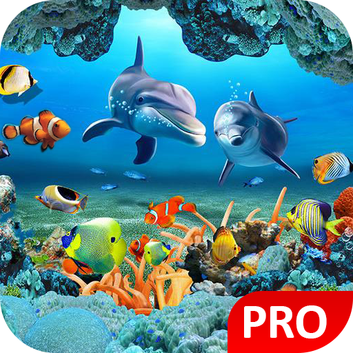 Fish Live Wallpaper Aquarium P Google Play のアプリ