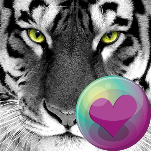 Big Cats HD Wallpapers logo