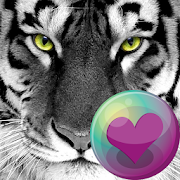 Top 40 Lifestyle Apps Like Big Cats HD Wallpapers - Best Alternatives
