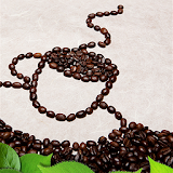 커피공화국 - 제대로된 커피전문점 찾기 icon