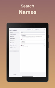 Screenshot image