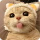Cat Stickers | WAStickerApps - Androidアプリ