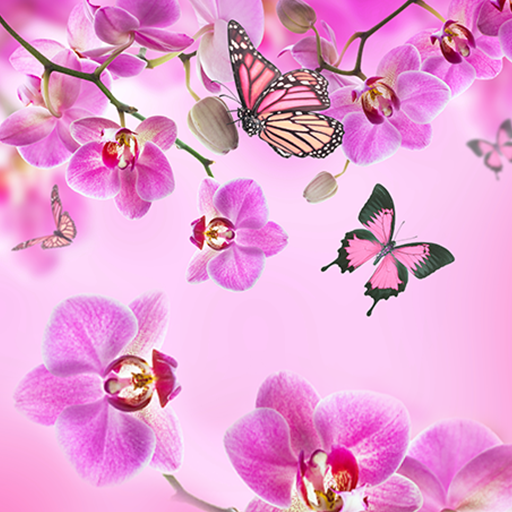 cute pink flowers background