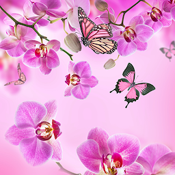 Ikonbild för Pink Flowers Live Wallpaper