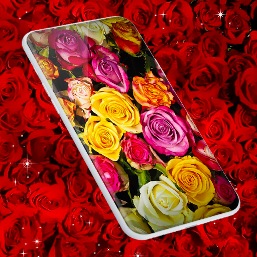 Red Rose Live Wallpaper  Icon