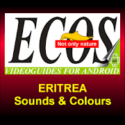 Sounds and Colours - Eritrea 1