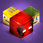 Cover Image of डाउनलोड Minecraft Skin Library - Disco  APK