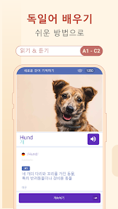 스크린샷 이미지