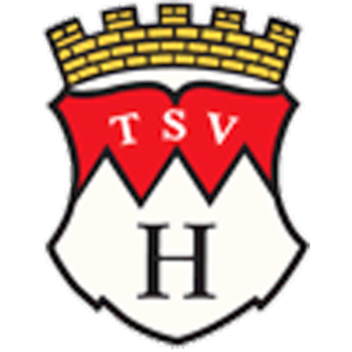 TSV Hilders logo
