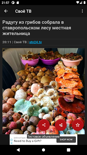 Новости 26: Ставрополье Screen 3