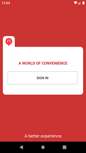 SolviT Customer Agent Screen 2