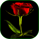 Amor flores y rosas Stickers  para Whatsapp