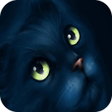 Black cat Live Wallpaper icon