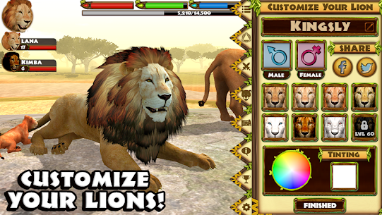 Ultimate Lion Simulator Apk+ Mod 1.2 [Download Free for Android] 5