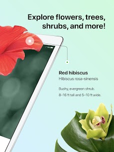 PictureThis Mod Apk Pro version to Identify Plant, Flower, Weed and More 9