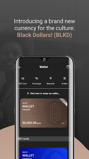 BDN: Shopping & Payments Screen 2