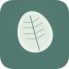 Icon image